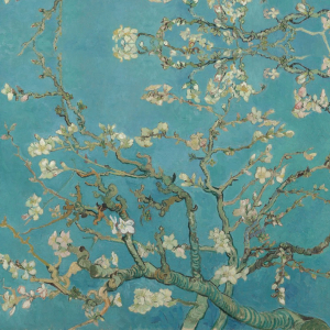 Փաթեթավորում - Վան Գոգ «Նշենու ծաղկած ճյուղեր»