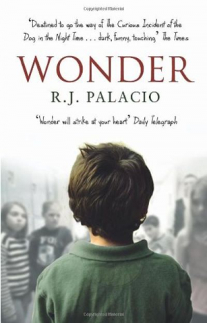 Wonder