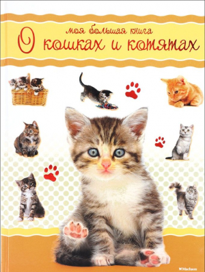 Моя большая книга о кошках и котятах