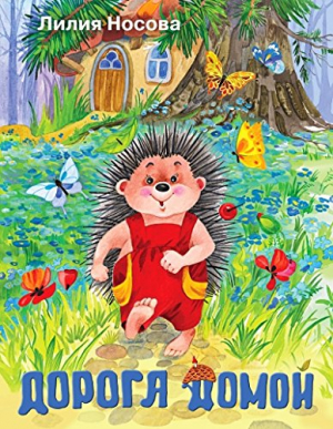 Дорога домой