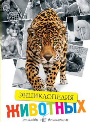 Животные. От амёбы до шимпанзе