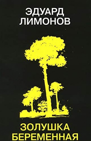 Золушка беременная