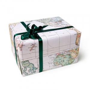 Wrapping Paper - Travel