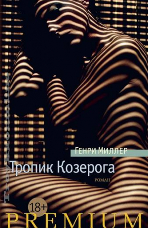 Тропик козерога