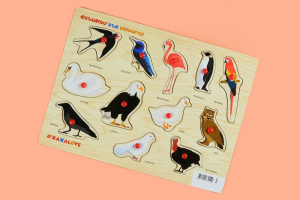 Ճանաչում ենք աշխարհը - Թռչուններ․ թութակով