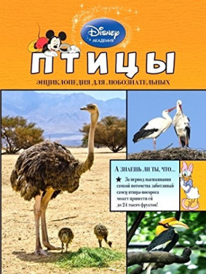 Птицы