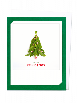 Открытка - Merry Christmas Mint Tree (green)
