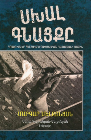 Սխալ գնացքը․ Գրառումներ հետհակահեղափոխական Հայաստանի մասին