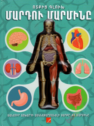 Մարդու մարմինը ոտքից գլուխ