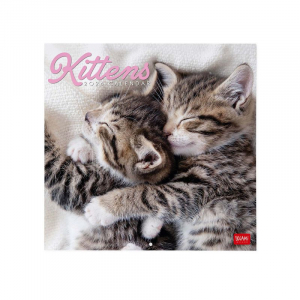 Wall Calendars - 2024 Wall Calendar - Kittens - 30X29 - Cats