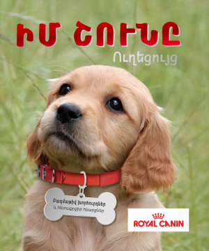 Իմ շունը