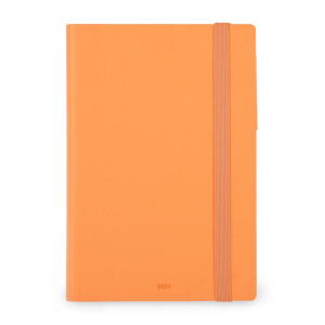 12-Month Diary - 2024 - Medium Daily Diary - Orange