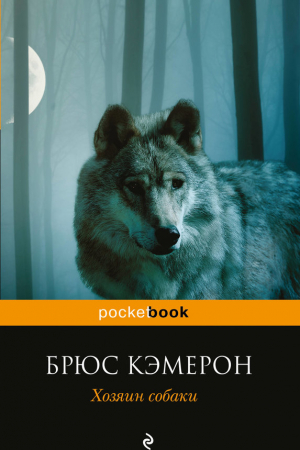 Хозяин собаки