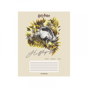 Տետր 24 էջ քառակուսի - Гарри Поттер