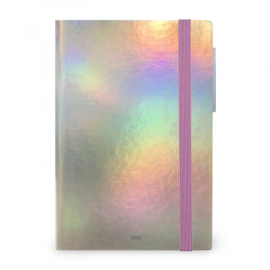 12-Month Diary - 2024 - Medium Daily Diary - Holo