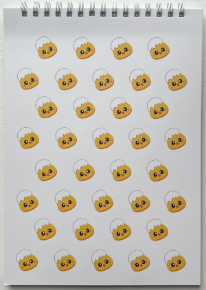 Նոթատետր սպիտակ PUPSIK