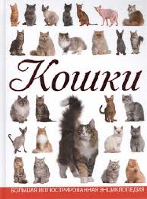 Кошки