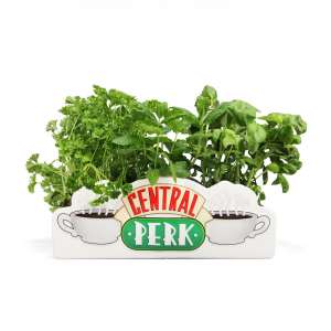 Table Top Vase Shaped - Friends - Central Perk