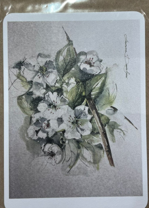 Բացիկ ծրարով Hoosher L. Danielyan 