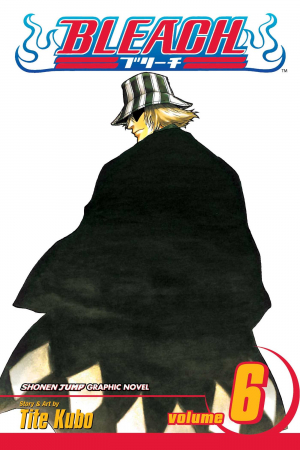 Bleach Vol. 6