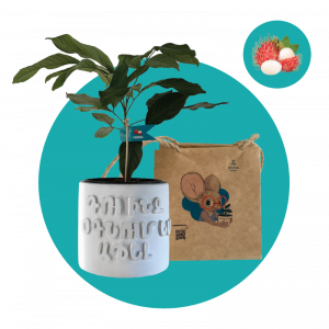 Րամբուտան (Մեծ)