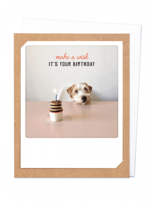 Greeting Card - Make a Wish - it's Your Birthday (brown)