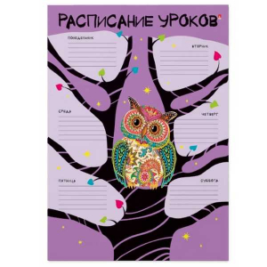 Расписание уроков А5