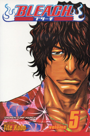 Bleach Vol. 5