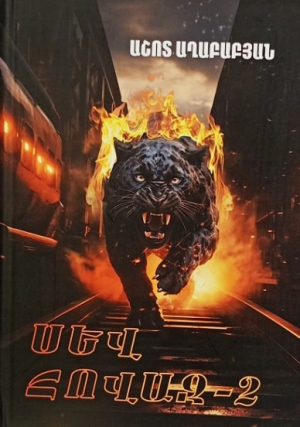 Սև հովազ 2
