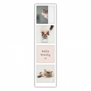 Greeting Card - hello beauty