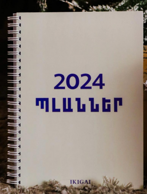 Պլաններ 2024
