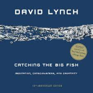 Catching The Big Fish 10Th Anv