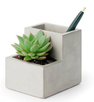 Concrete Desktop Planter Small