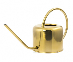 Vintage Watering Can