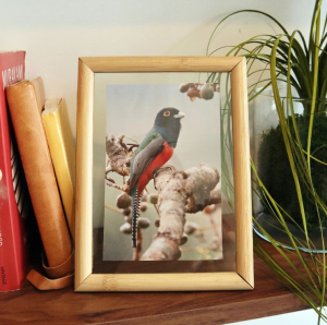 Large Floating Frame