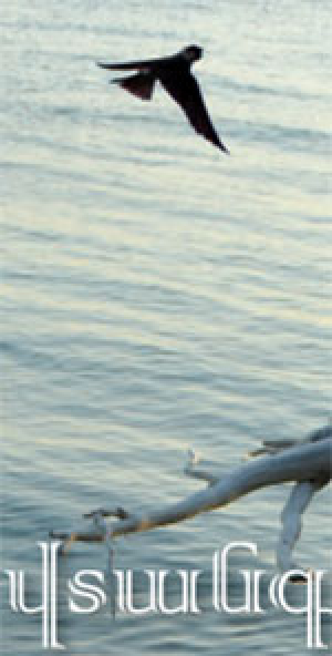 Վտանգավոր լռություն