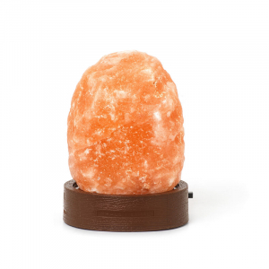 Himalayan Salt Lamp - Mini