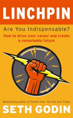 Linchpin: Are You Indispensable? How to drive your career & create a remarkable future