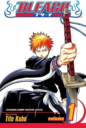 Bleach Vol. 1