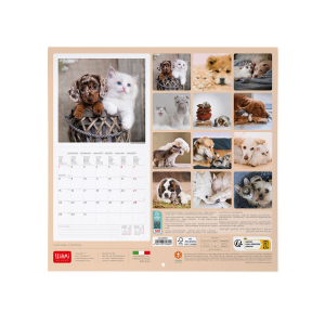Wall Calendars - 2024 Wall Calendar - Best Friends - 30X29 - Animals