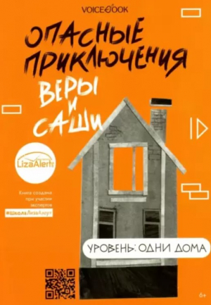 Опасные приключения Веры и Саши. Уровень: Одни дома
