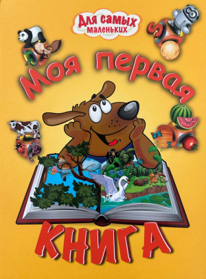 Моя первая книга