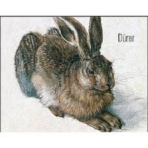 Posters: Durer