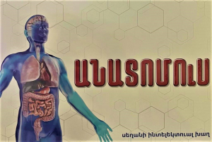Անատոմուս