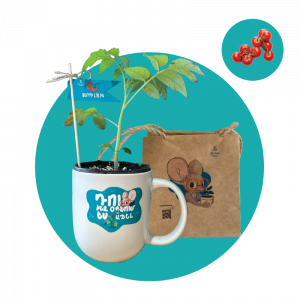 Չերրի լոլիկ (փոքր)