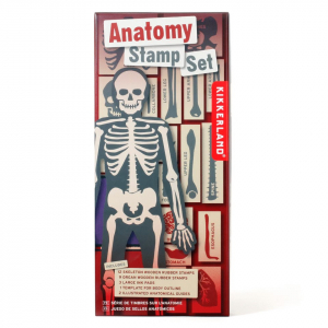 Anatomy Stamp Set
