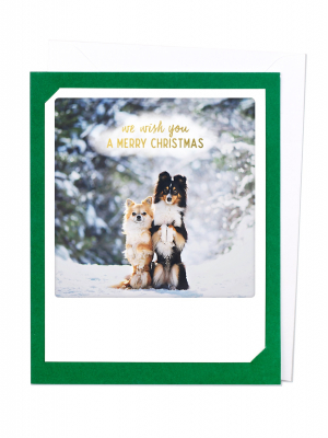 Greeting Card - merry christmas dogs (dunkel grьn)
