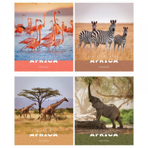 Copybook 96 pages squared - Nature of Africa