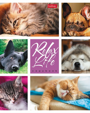Copybook 24 pages squared - Relax Life