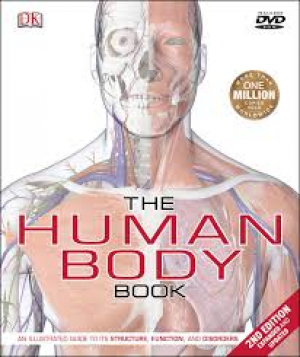 Human Body